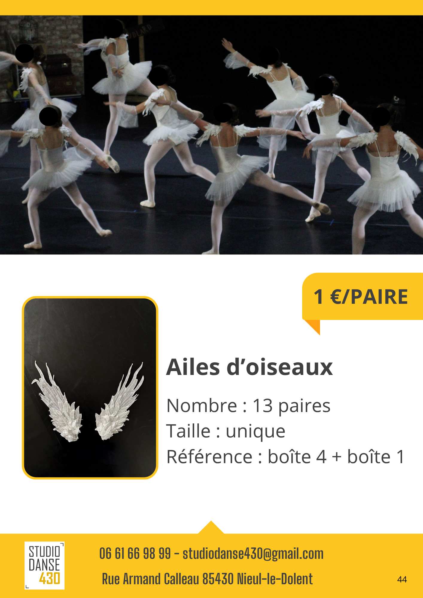 PAIRE Ailes doiseaux